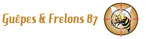 Guêpes & Frelons 87